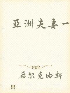 亚洲夫妻一级片封面