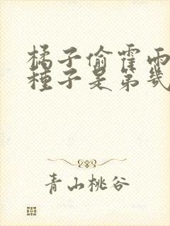 橘子偷霍雨浩的种子是第几章