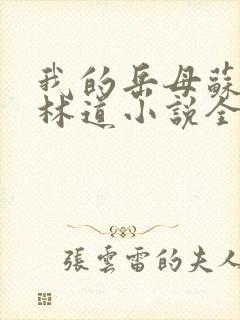 我的岳母苏沛真林道小说全文封面