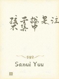 孩子总是注意力不集中封面