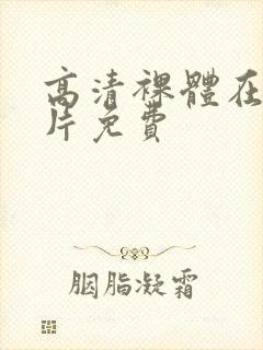 高清裸体在线看片免费