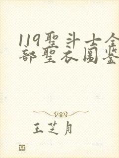 119圣斗士全部圣衣图鉴