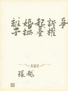 离婚起诉争夺孩子抚养权封面