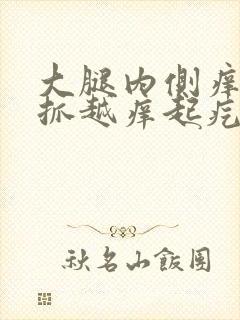 大腿内侧痒痒越抓越痒起疙瘩的怎么回事