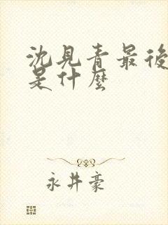 沈见青最后结局是什么