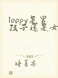 loopy是男孩子还是女孩子封面