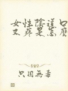 女性阴道口又痒又疼是怎么回事