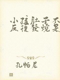 小孩肚子不舒服反复发烧是什么原因引起的