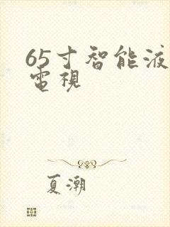 65寸智能液晶电视