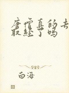 唐僧真的去西天取经了吗封面