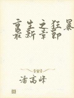 重生之狂暴火法最新章节