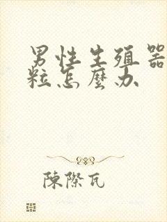 男性生殖器有肉粒怎么办