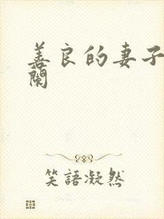 善良的妻子王晓兰封面