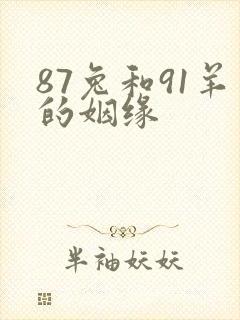 87兔和91羊的姻缘