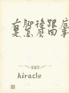 右脚后跟底麻木是怎么回事