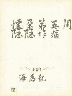 怀孕第五周肚子隐隐作痛