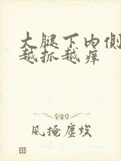 大腿下内侧痒痒越抓越痒