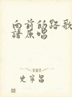 向前的路歌词歌谱原唱