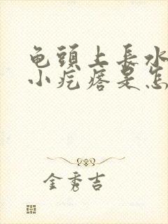 龟头上长水泡和小疙瘩是怎么回事