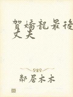 贺娇龙最后一任丈夫封面