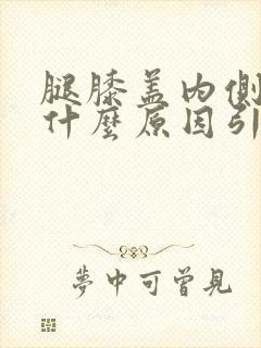 腿膝盖内侧疼是什么原因引起的