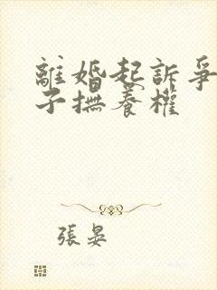 离婚起诉争夺孩子抚养权