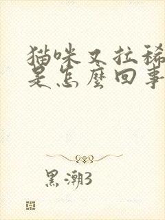 猫咪又拉稀又吐是怎么回事封面