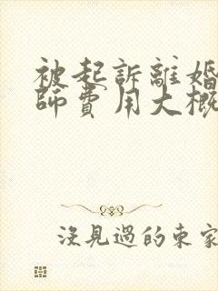 被起诉离婚请律师费用大概要多少