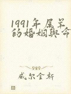 1991年属羊的婚姻与命运如何