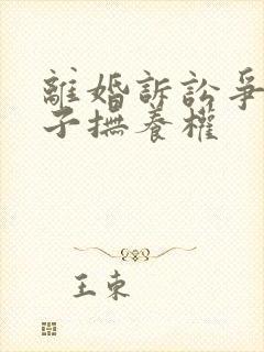 离婚诉讼争取孩子抚养权封面