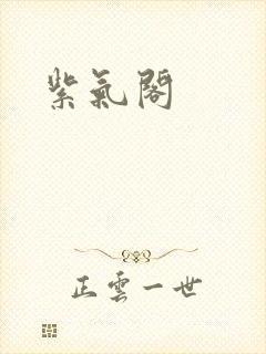 紫气阁封面