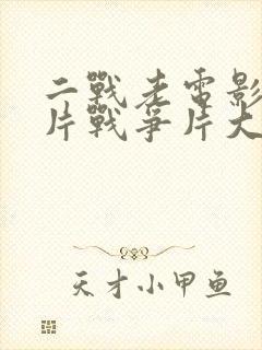 二战老电影译制片战争片大全免费封面