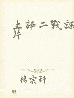 上译二战谍战大片