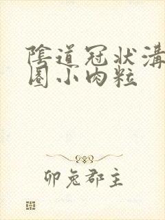 阴道冠状沟有一圈小肉粒