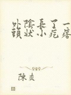 外阴长了一个乳头状小疙瘩