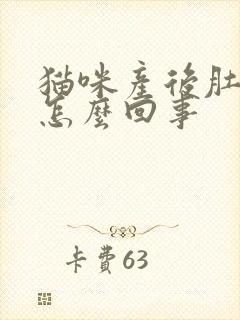 猫咪产后肚子大怎么回事