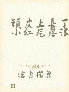 头皮上长了很多小红疙瘩很痒怎么办