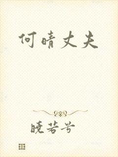 何晴丈夫封面