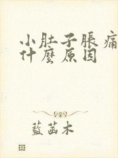 小肚子胀痛女性什么原因