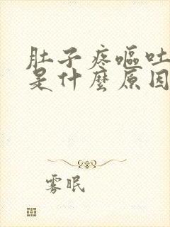 肚子疼呕吐头晕是什么原因引起的