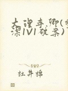 大理寺.卿(双洁1V1破案)封面