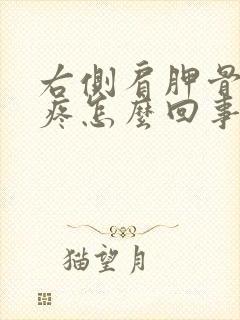 右侧肩胛骨疼封疼怎么回事封面