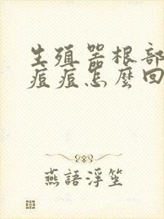 生殖器根部好多痘痘怎么回事封面