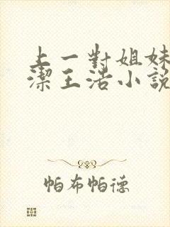 上一对姐妹花李洁王浩小说免费阅读