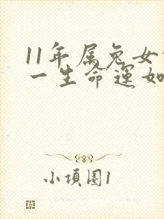 11年属兔女的一生命运如何封面
