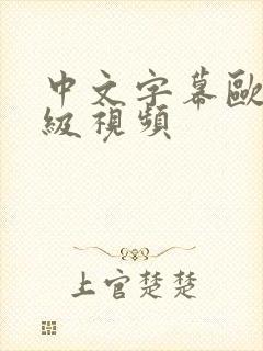 中文字幕欧美一级视频封面