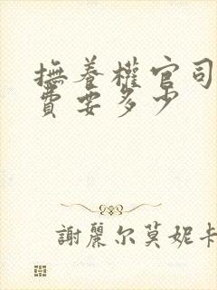 抚养权官司律师费要多少