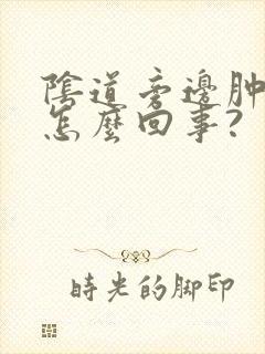 阴道旁边肿了是怎么回事?