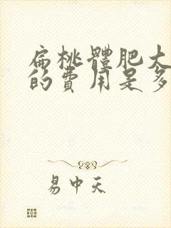 扁桃体肥大治疗的费用是多少