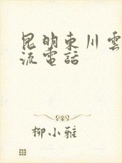 昆明东川云聚物流电话